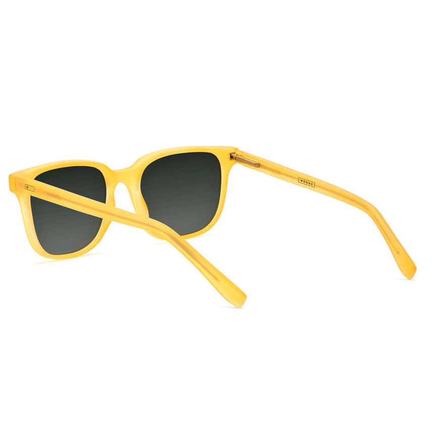 Óculos de Sol todo de Acetato | Woodz Carter Gold Fosco