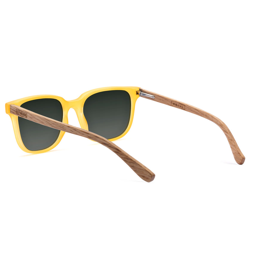Óculos de Sol de Acetato com Madeira | Carter Gold Label (Woodz x Johnnie Walker)