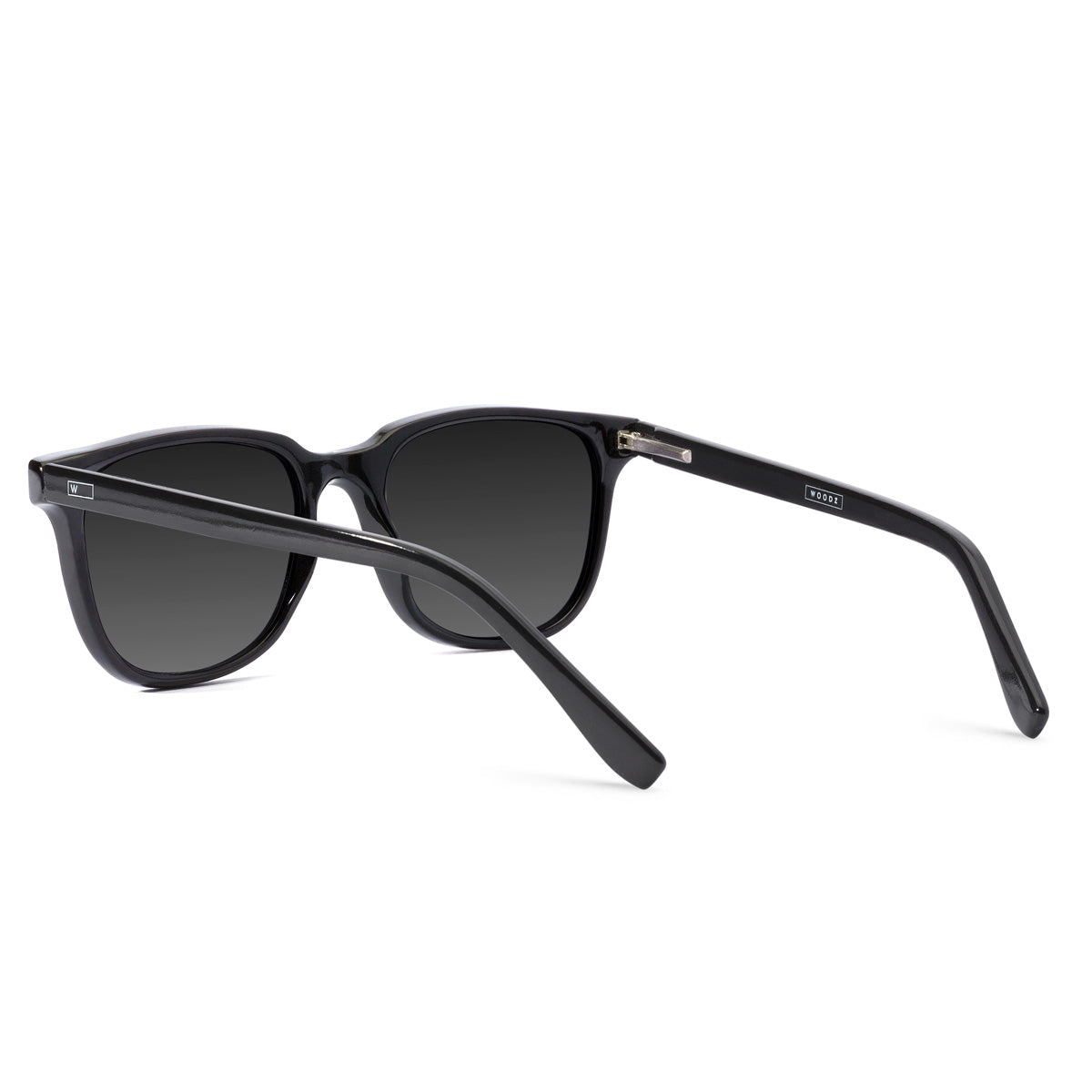 Carter Black com lente de sol cinza