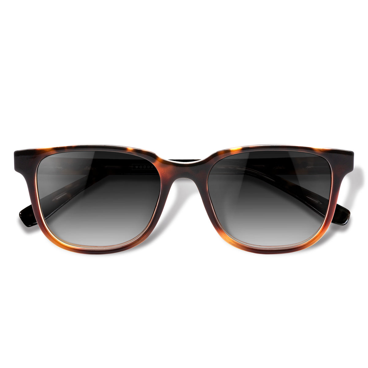 Carter Tortoise com lente de sol cinza degrade
