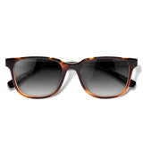 Carter Tortoise com lente de sol cinza degrade