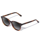 Carter Tortoise com lente de sol cinza degrade