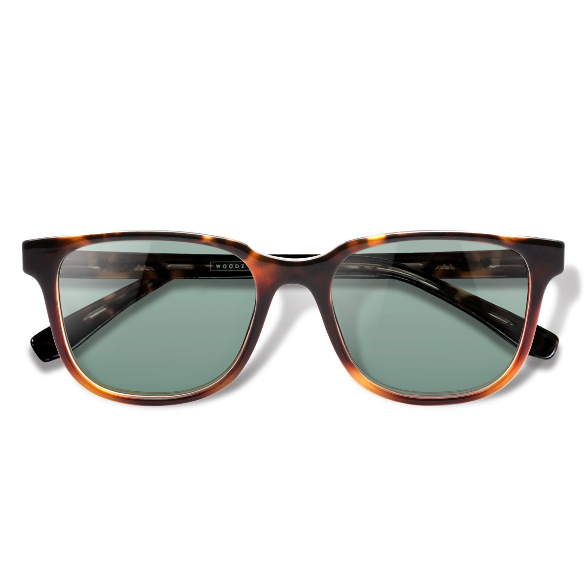 Carter Tortoise com lente colorida verde clara