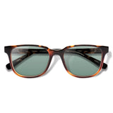 Carter Tortoise com lente colorida verde clara