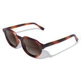 Óculos de Sol todo de Acetato | Woodz Davos Havana