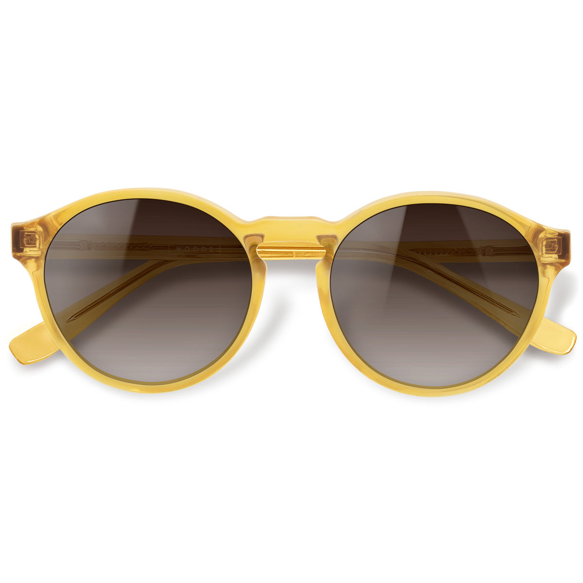 Elli Gold com lente de sol marrom degrade