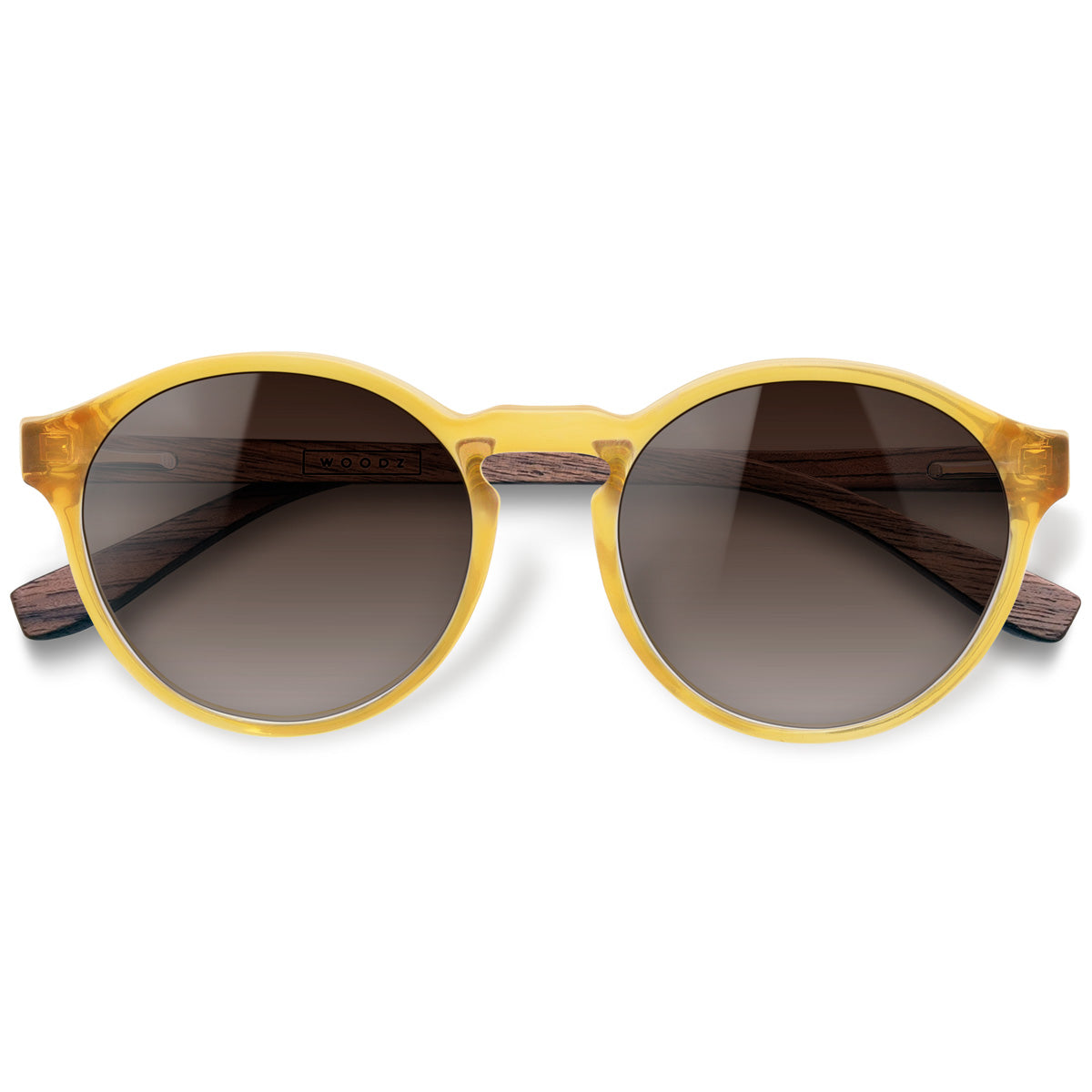 Elli Gold com lente de sol marrom degrade