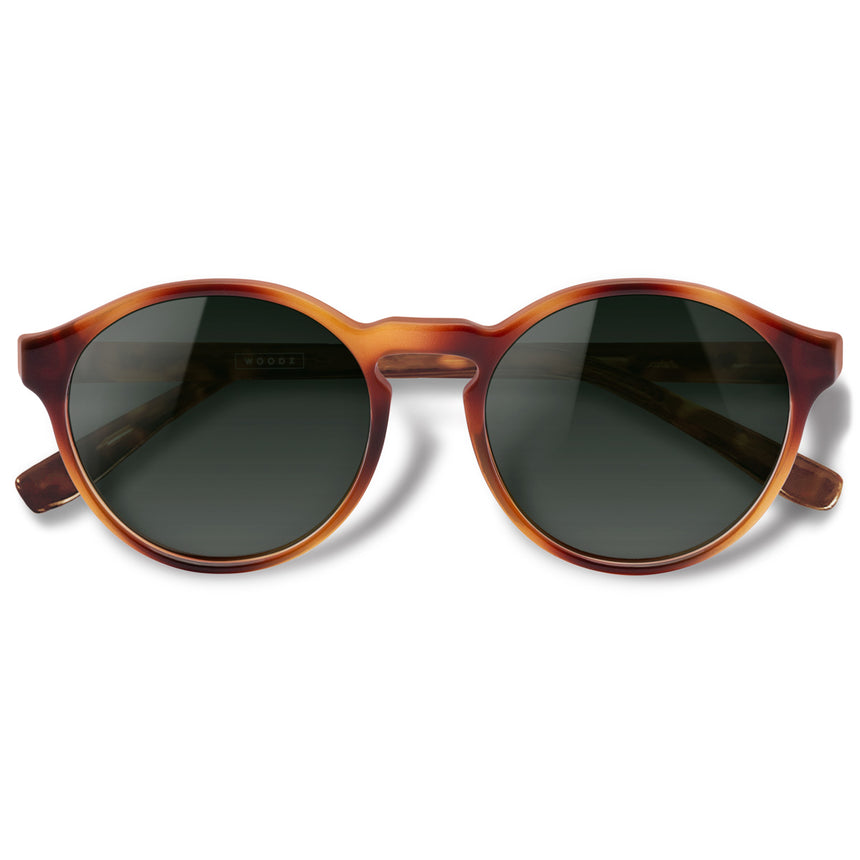 Óculos de Sol todo de Acetato | Woodz Elli Havana