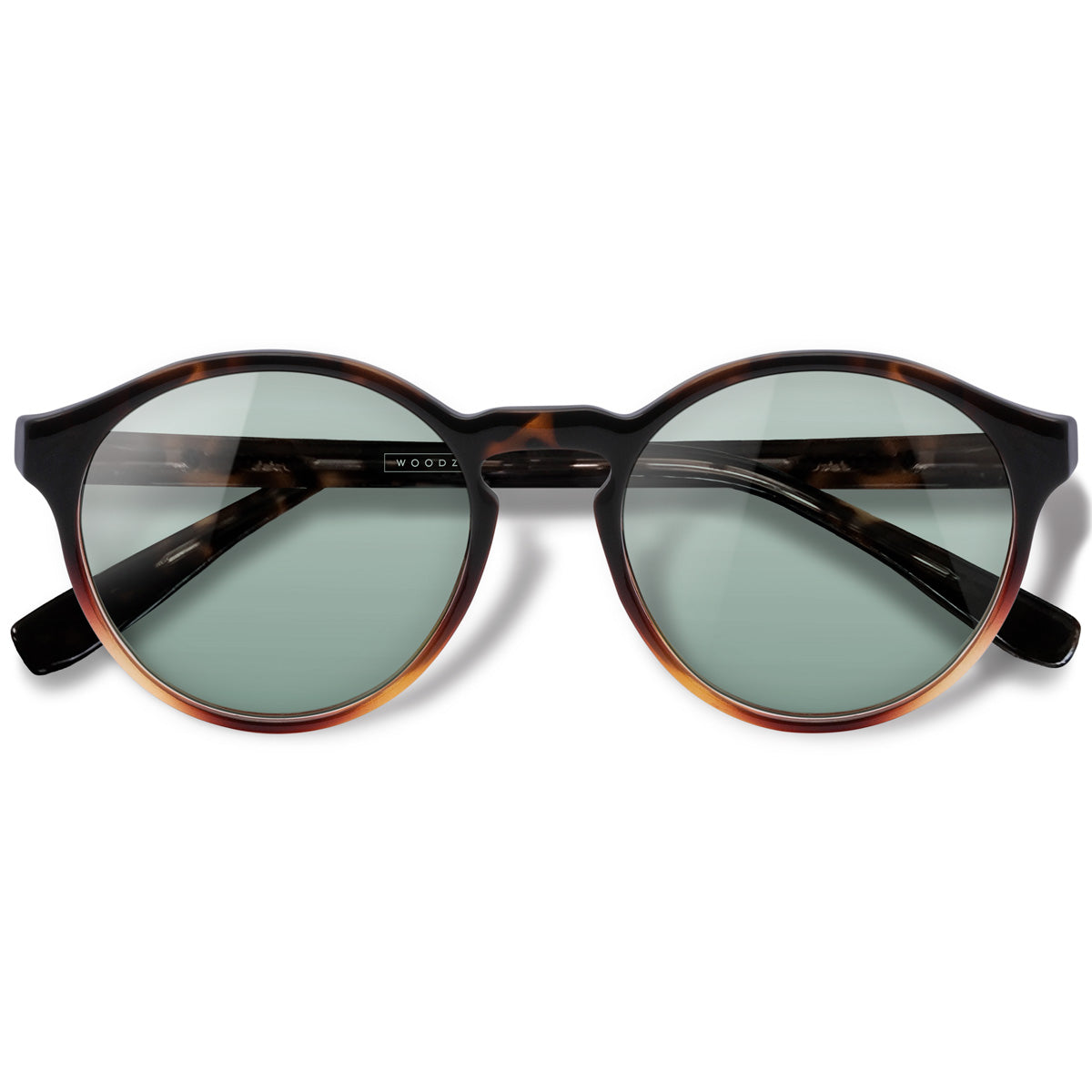 Elli Tortoise com lente colorida verde claro