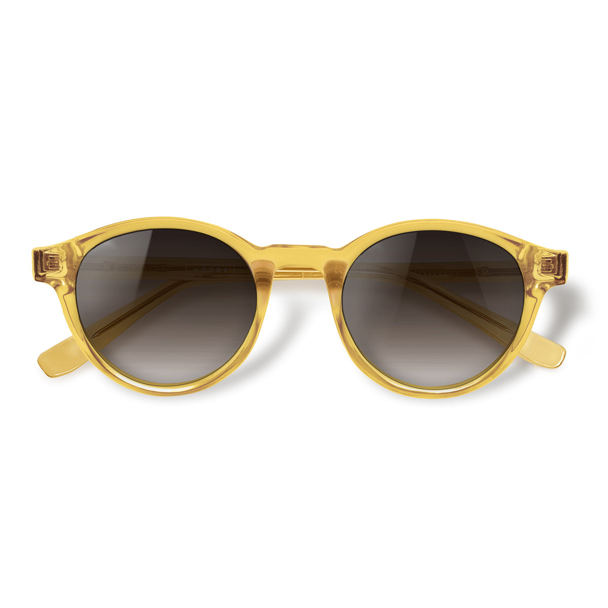 Nino Gold com lente de sol marrom degrade