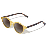 Óculos de Sol Mix Color | Woodz Nino Gold (Haste Tortoise)