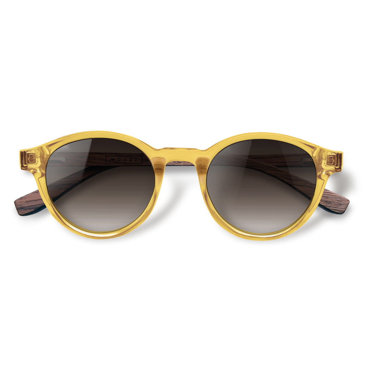 Nino Gold com lente de sol marrom degrade