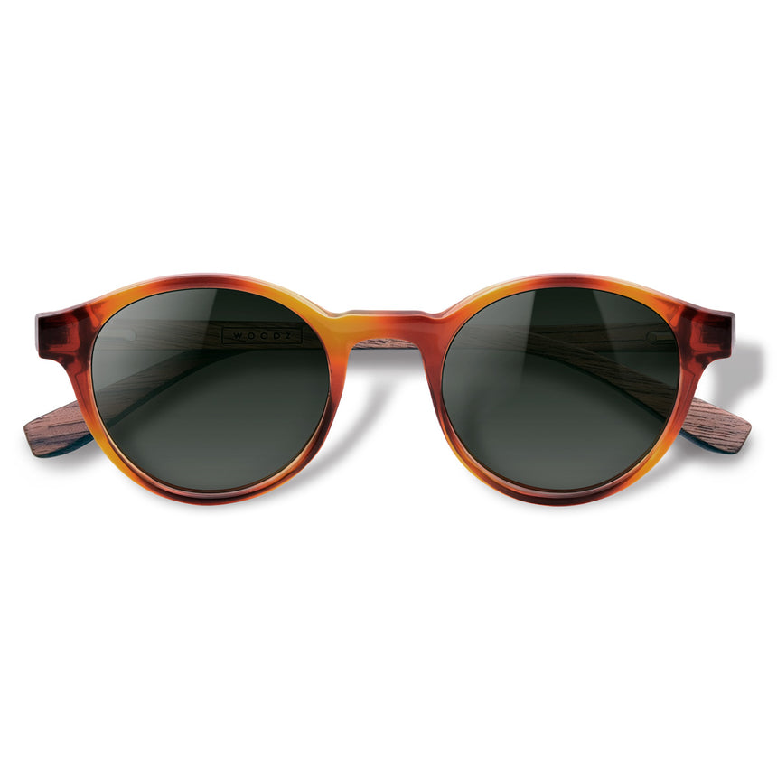 Óculos de Sol de Acetato com Madeira | Woodz Nino Havana