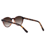 Nino Tortoise com lente de sol marrom degrade