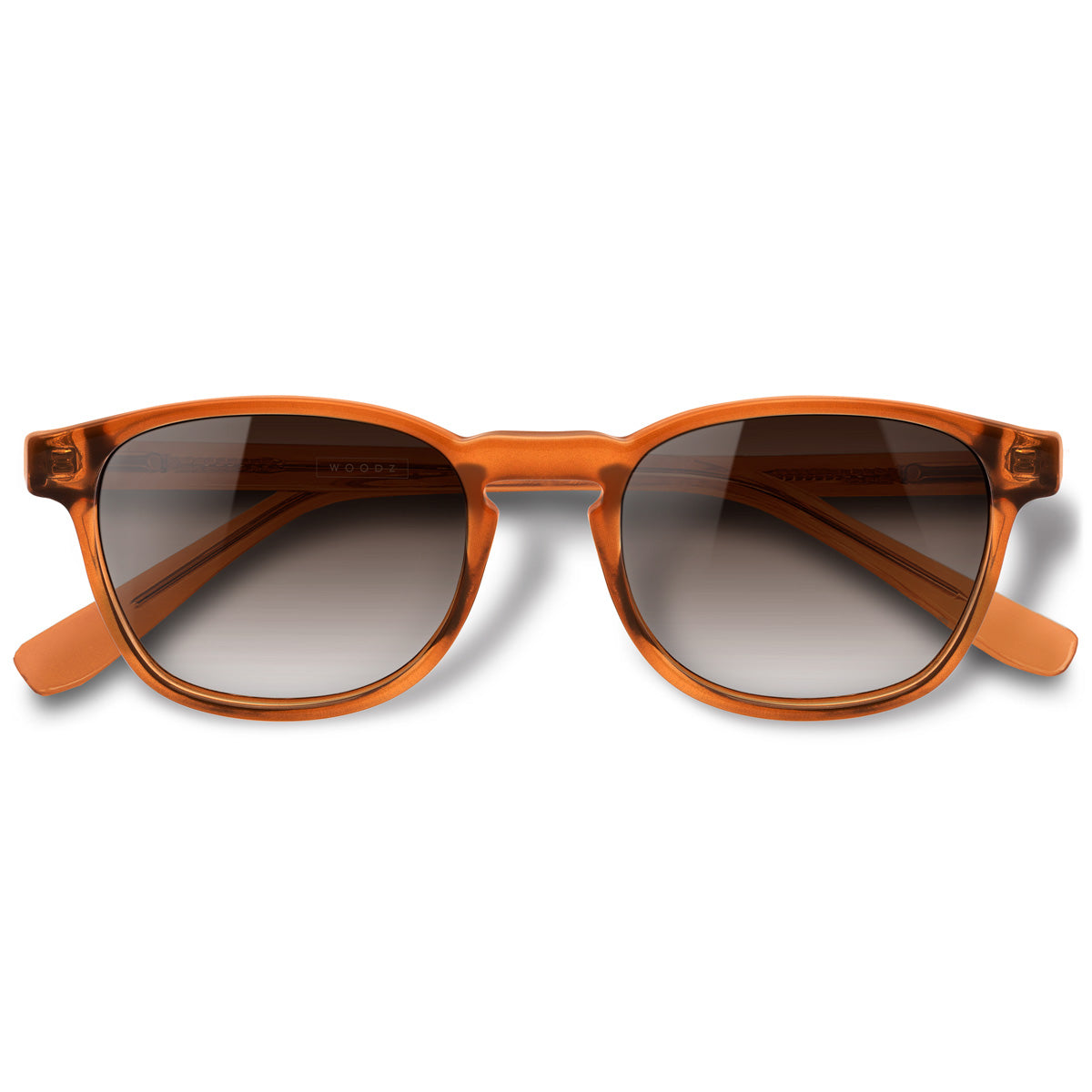 Olli Camel com lente de sol cinza degrade