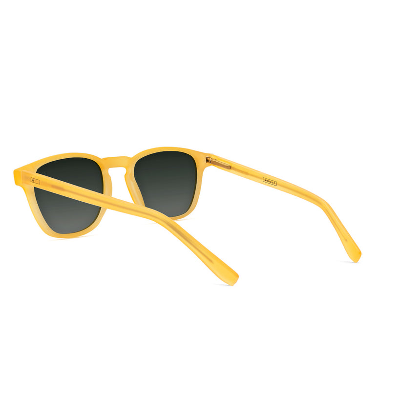 Óculos de Sol todo de Acetato | Woodz Olli Gold Fosco