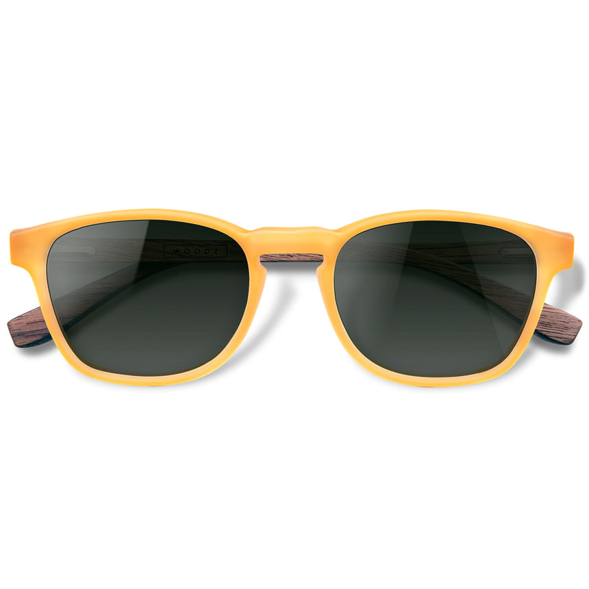 Óculos de Sol de Acetato com Madeira | Woodz Olli Gold Fosco