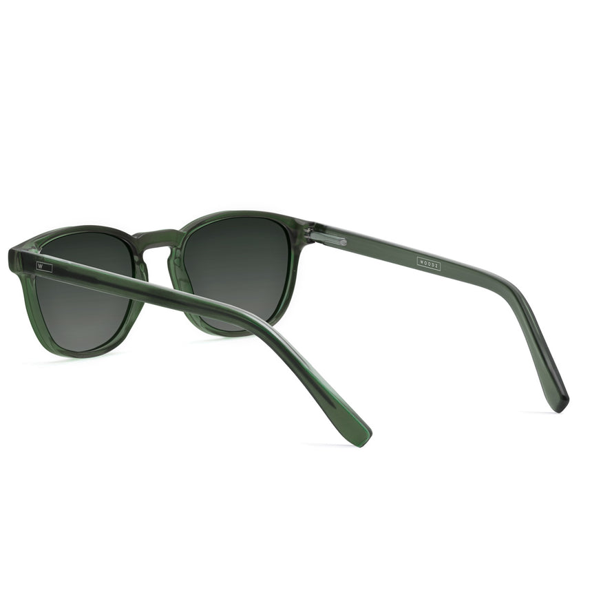 Óculos de Sol todo de Acetato | Woodz Olli Green