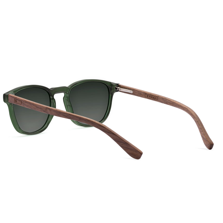 Óculos de Sol de Acetato com Madeira | Woodz Olli Green