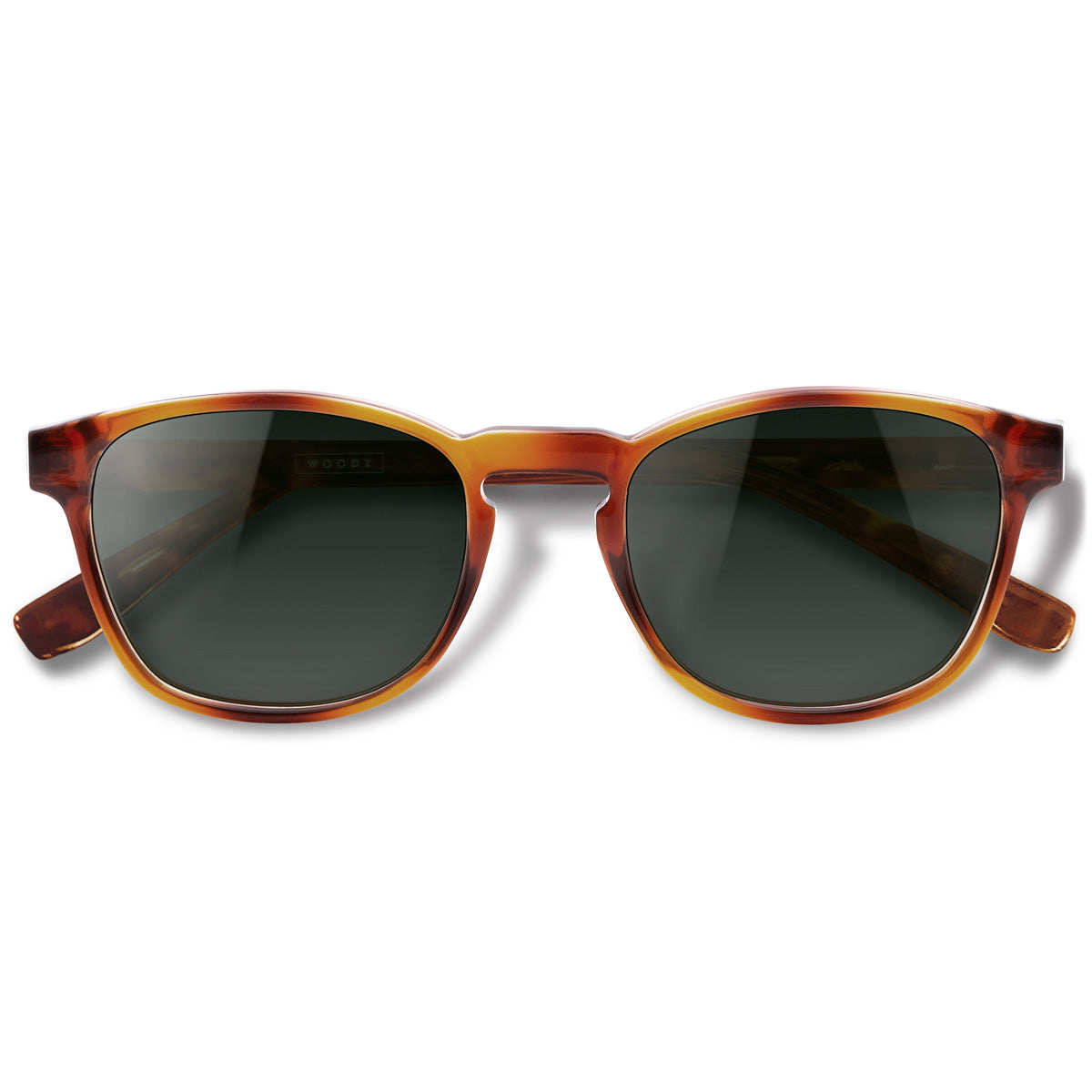 Olli Havana com lente de sol G15