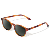 Olli Havana com lente de sol G15