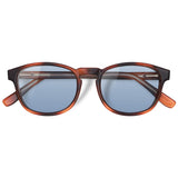Óculos de Sol todo de Acetato | Olli Havana Lente Azul Claro (Woodz + DOD)