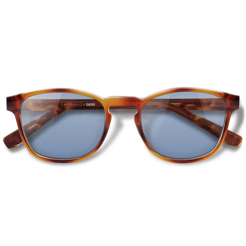 Óculos de Sol todo de Acetato | Olli Havana Lente Azul Clara (Woodz + DOD)