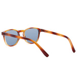 Óculos de Sol todo de Acetato | Olli Havana Lente Azul Claro (Woodz + DOD)