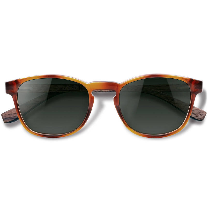 Óculos de Sol de Acetato com Madeira | Woodz Olli Havana