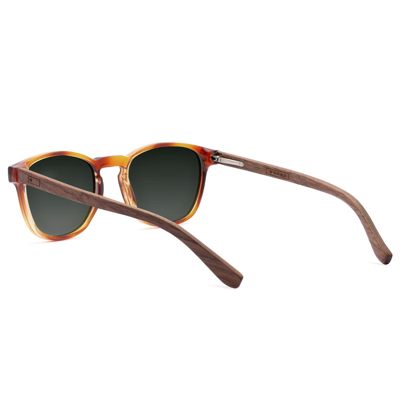Óculos de Sol de Acetato com Madeira | Woodz Olli Havana