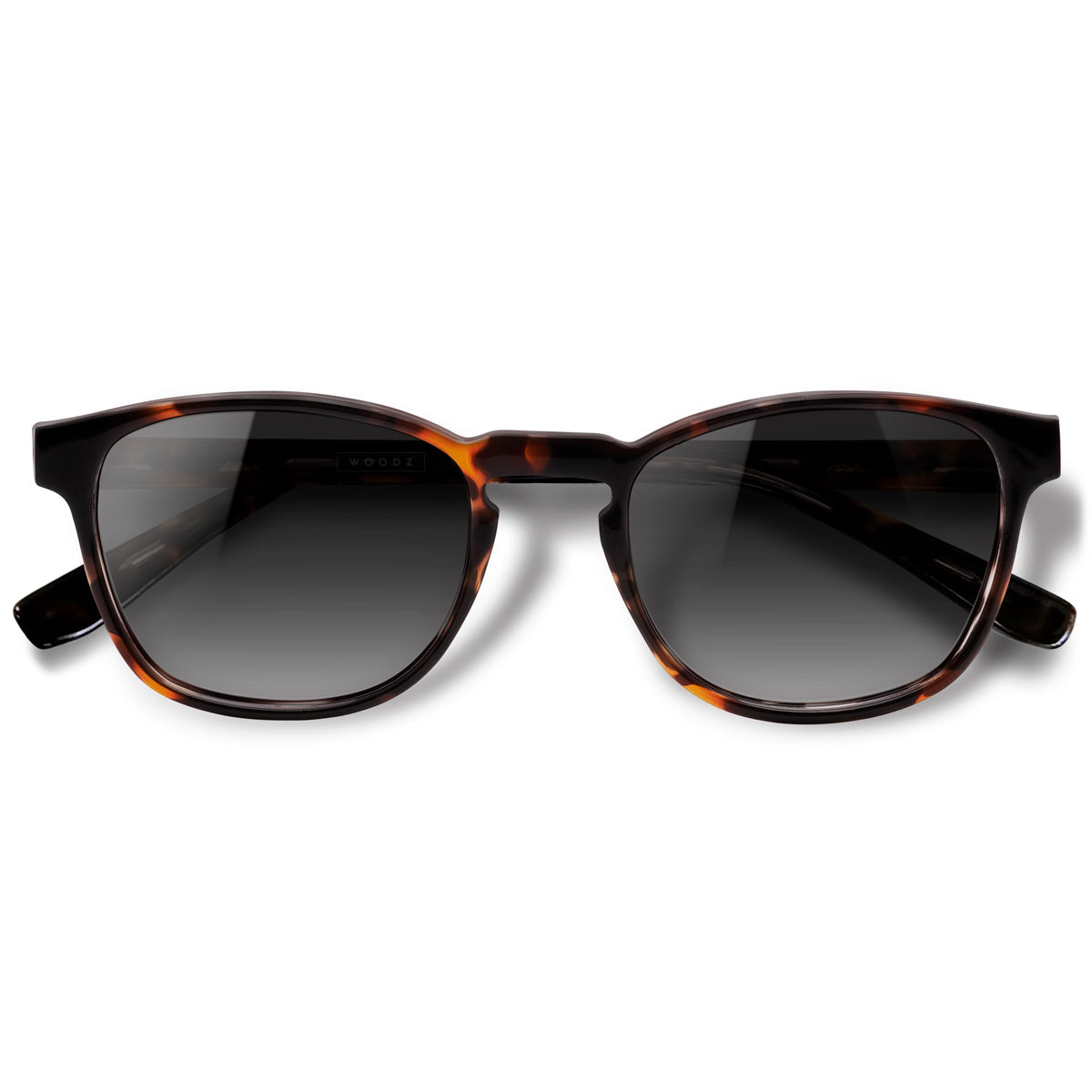 Olli Tortoise com lente de sol cinza degrade