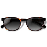 Olli Tortoise com lente de sol cinza degrade