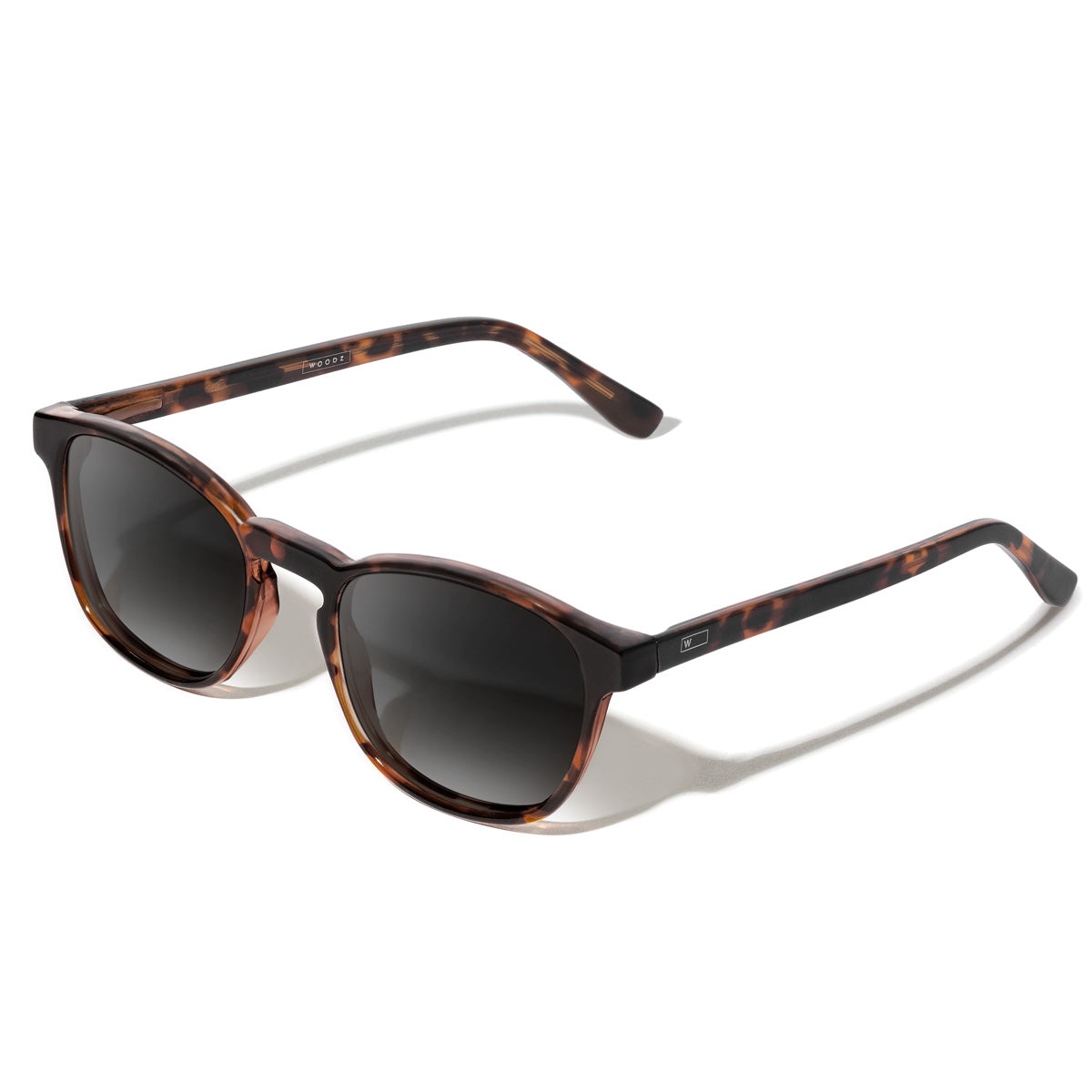 Olli Tortoise com lente de sol cinza degrade