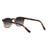 Olli Tortoise com lente de sol cinza degrade