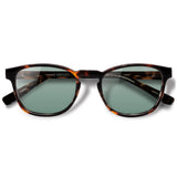 Olli Tortoise com lente colorida verde claro