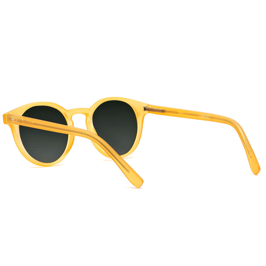Óculos de Sol todo de Acetato | Woodz Taylor Gold Fosco
