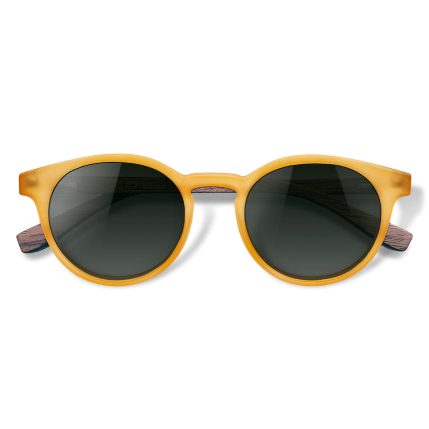 Óculos de Sol de Acetato com Madeira | Woodz Taylor Gold Fosco
