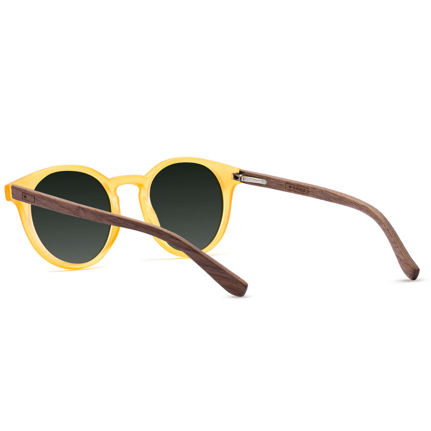 Óculos de Sol de Acetato com Madeira | Woodz Taylor Gold Fosco