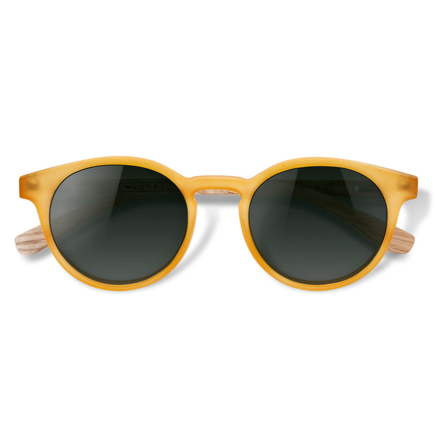 Óculos de Sol de Acetato com Madeira | Taylor Gold Label (Woodz x Johnnie Walker)