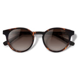 Óculos de Sol todo de Acetato | Woodz Taylor Tortoise Fosco