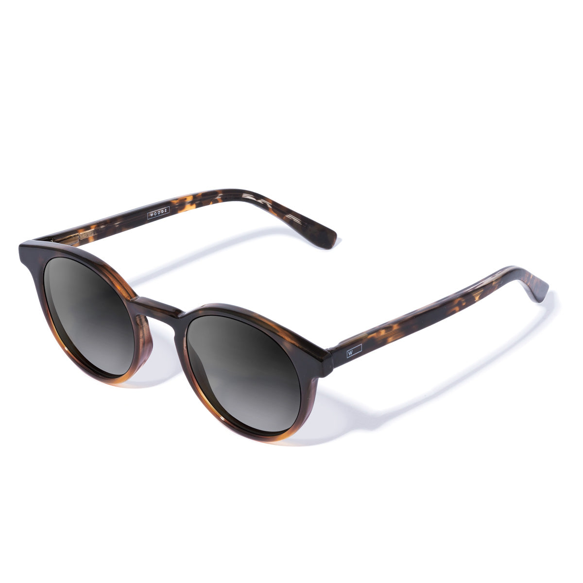 Taylor Tortoise Brilho com lente de sol cinza degrade