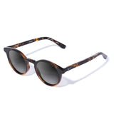 Taylor Tortoise Brilho com lente de sol cinza degrade