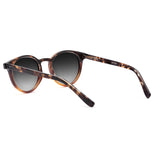 Taylor Tortoise Brilho com lente de sol cinza degrade