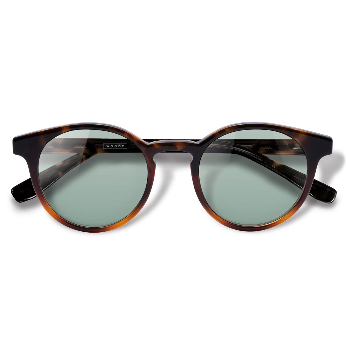 Taylor Tortoise Brilho com lente colorida verde clara