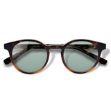 Taylor Tortoise Brilho com lente colorida verde clara