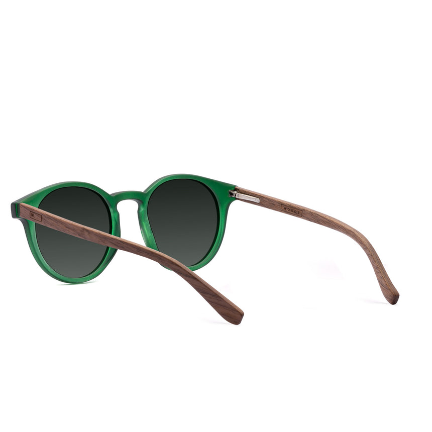 Óculos de Sol de Acetato com Madeira | Woodz Taylor Green Fosco