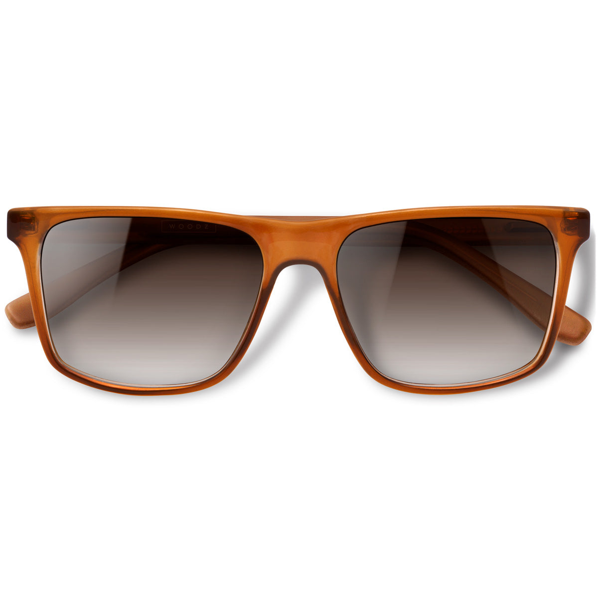 Zeta Camel com lente de sol marrom degrade