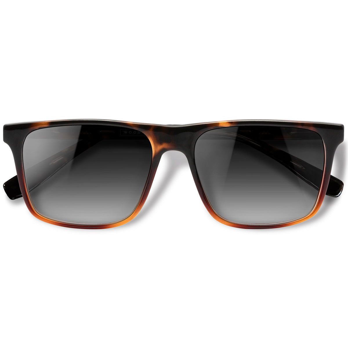 Zeta Tortoise Brilho com lente de sol cinza degrade 