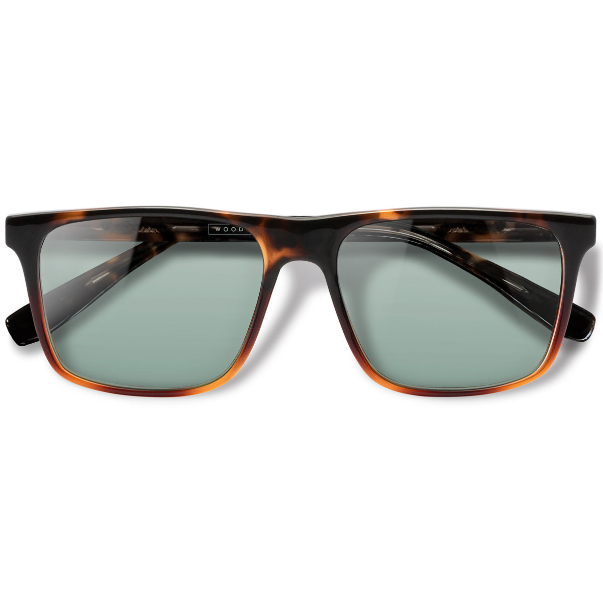 Zeta Tortoise Brilho com lente colorida verde clara