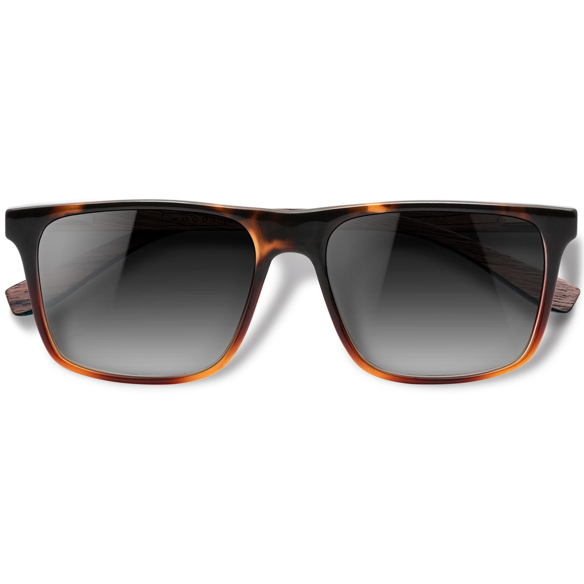 Zeta Tortoise Brilho com lente de sol cinza degrade